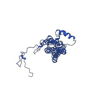 9321_6n23_A_v1-2
BEST1 in a calcium-bound inactivated state