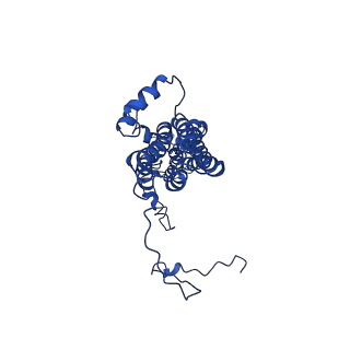 9321_6n23_B_v1-2
BEST1 in a calcium-bound inactivated state