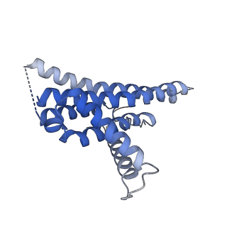 9327_6n2d_a_v1-1
Bacillus PS3 ATP synthase membrane region