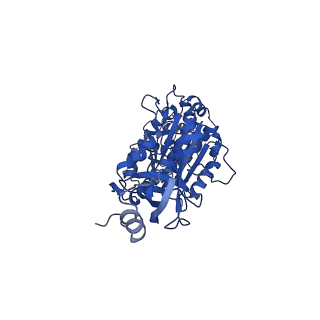 9334_6n2z_A_v1-2
Bacillus PS3 ATP synthase class 2
