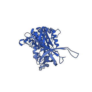 9334_6n2z_E_v1-1
Bacillus PS3 ATP synthase class 2
