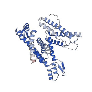 0336_6n3q_A_v1-3
Cryo-EM structure of the yeast Sec complex