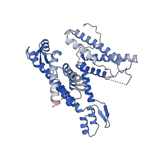 0336_6n3q_A_v1-4
Cryo-EM structure of the yeast Sec complex