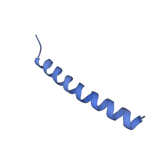 0336_6n3q_B_v1-4
Cryo-EM structure of the yeast Sec complex