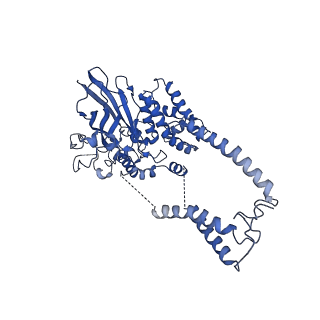 0336_6n3q_D_v1-3
Cryo-EM structure of the yeast Sec complex