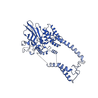 0336_6n3q_D_v1-4
Cryo-EM structure of the yeast Sec complex