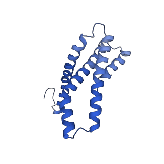 0336_6n3q_E_v1-4
Cryo-EM structure of the yeast Sec complex