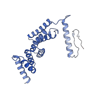 0336_6n3q_F_v1-3
Cryo-EM structure of the yeast Sec complex