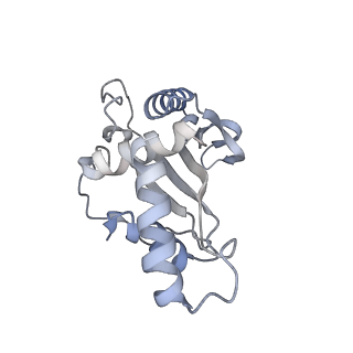 24135_7n30_LE_v1-2
Elongating 70S ribosome complex in a hybrid-H2* pre-translocation (PRE-H2*) conformation