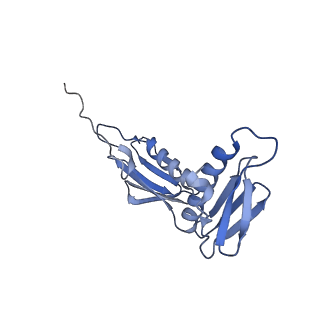 24135_7n30_LF_v1-2
Elongating 70S ribosome complex in a hybrid-H2* pre-translocation (PRE-H2*) conformation