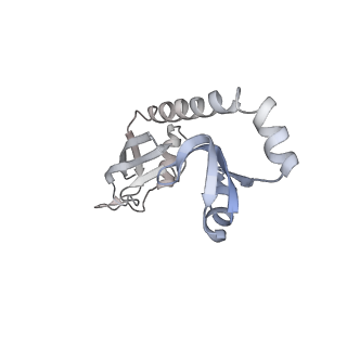 24135_7n30_LI_v1-2
Elongating 70S ribosome complex in a hybrid-H2* pre-translocation (PRE-H2*) conformation
