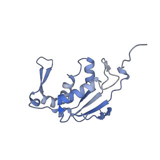 24135_7n30_LM_v1-2
Elongating 70S ribosome complex in a hybrid-H2* pre-translocation (PRE-H2*) conformation
