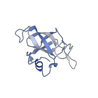 24135_7n30_LN_v1-2
Elongating 70S ribosome complex in a hybrid-H2* pre-translocation (PRE-H2*) conformation