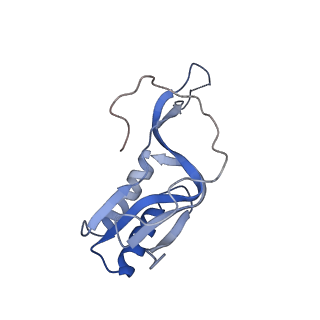24135_7n30_LP_v1-2
Elongating 70S ribosome complex in a hybrid-H2* pre-translocation (PRE-H2*) conformation