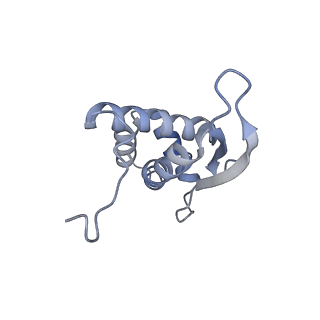 24135_7n30_LQ_v1-2
Elongating 70S ribosome complex in a hybrid-H2* pre-translocation (PRE-H2*) conformation