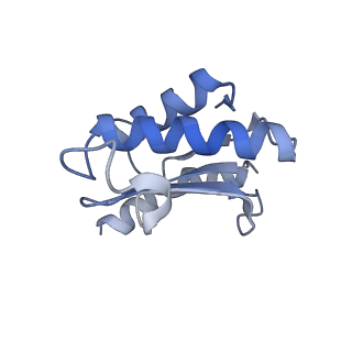 24135_7n30_LR_v1-2
Elongating 70S ribosome complex in a hybrid-H2* pre-translocation (PRE-H2*) conformation