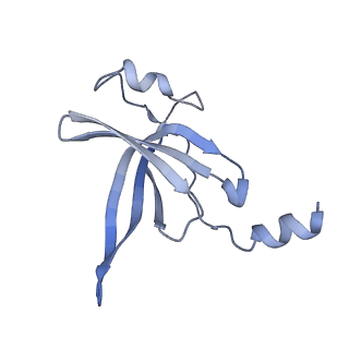 24135_7n30_LS_v1-2
Elongating 70S ribosome complex in a hybrid-H2* pre-translocation (PRE-H2*) conformation