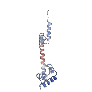 24135_7n30_LT_v1-2
Elongating 70S ribosome complex in a hybrid-H2* pre-translocation (PRE-H2*) conformation