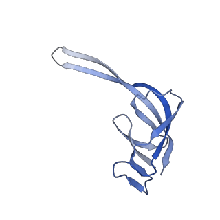 24135_7n30_LU_v1-2
Elongating 70S ribosome complex in a hybrid-H2* pre-translocation (PRE-H2*) conformation