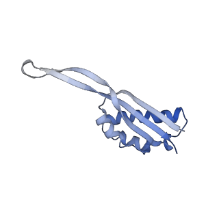 24135_7n30_LV_v1-2
Elongating 70S ribosome complex in a hybrid-H2* pre-translocation (PRE-H2*) conformation