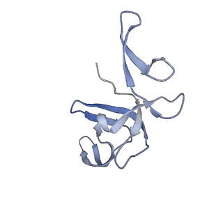 24135_7n30_LX_v1-2
Elongating 70S ribosome complex in a hybrid-H2* pre-translocation (PRE-H2*) conformation