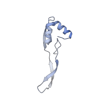 24135_7n30_Lb_v1-2
Elongating 70S ribosome complex in a hybrid-H2* pre-translocation (PRE-H2*) conformation