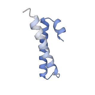 24135_7n30_Lc_v1-2
Elongating 70S ribosome complex in a hybrid-H2* pre-translocation (PRE-H2*) conformation