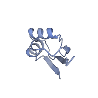 24135_7n30_Ld_v1-2
Elongating 70S ribosome complex in a hybrid-H2* pre-translocation (PRE-H2*) conformation