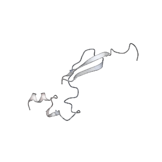 24135_7n30_Le_v1-2
Elongating 70S ribosome complex in a hybrid-H2* pre-translocation (PRE-H2*) conformation