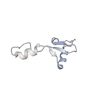 24135_7n30_Li_v1-2
Elongating 70S ribosome complex in a hybrid-H2* pre-translocation (PRE-H2*) conformation