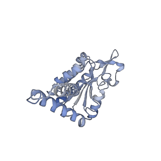 24135_7n30_SB_v1-2
Elongating 70S ribosome complex in a hybrid-H2* pre-translocation (PRE-H2*) conformation