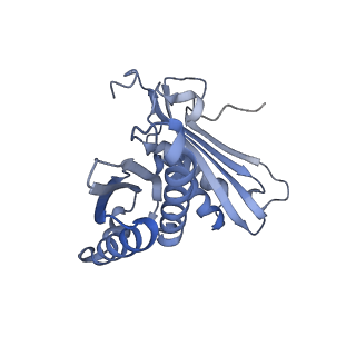 24135_7n30_SC_v1-2
Elongating 70S ribosome complex in a hybrid-H2* pre-translocation (PRE-H2*) conformation