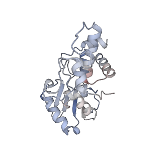 24135_7n30_SD_v1-2
Elongating 70S ribosome complex in a hybrid-H2* pre-translocation (PRE-H2*) conformation