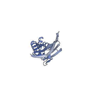 24135_7n30_SE_v1-2
Elongating 70S ribosome complex in a hybrid-H2* pre-translocation (PRE-H2*) conformation