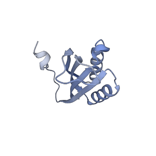 24135_7n30_SF_v1-2
Elongating 70S ribosome complex in a hybrid-H2* pre-translocation (PRE-H2*) conformation