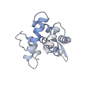 24135_7n30_SG_v1-2
Elongating 70S ribosome complex in a hybrid-H2* pre-translocation (PRE-H2*) conformation
