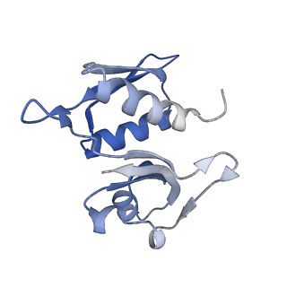 24135_7n30_SH_v1-2
Elongating 70S ribosome complex in a hybrid-H2* pre-translocation (PRE-H2*) conformation