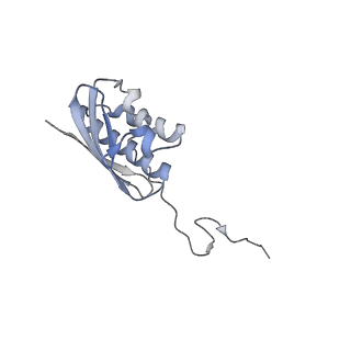 24135_7n30_SI_v1-2
Elongating 70S ribosome complex in a hybrid-H2* pre-translocation (PRE-H2*) conformation
