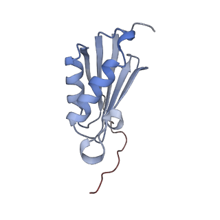 24135_7n30_SK_v1-2
Elongating 70S ribosome complex in a hybrid-H2* pre-translocation (PRE-H2*) conformation