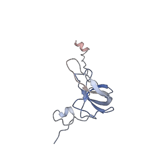 24135_7n30_SL_v1-2
Elongating 70S ribosome complex in a hybrid-H2* pre-translocation (PRE-H2*) conformation