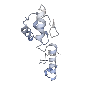 24135_7n30_SM_v1-2
Elongating 70S ribosome complex in a hybrid-H2* pre-translocation (PRE-H2*) conformation