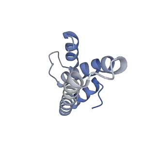 24135_7n30_SO_v1-2
Elongating 70S ribosome complex in a hybrid-H2* pre-translocation (PRE-H2*) conformation