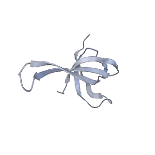 24135_7n30_SQ_v1-2
Elongating 70S ribosome complex in a hybrid-H2* pre-translocation (PRE-H2*) conformation