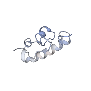 24135_7n30_SR_v1-2
Elongating 70S ribosome complex in a hybrid-H2* pre-translocation (PRE-H2*) conformation