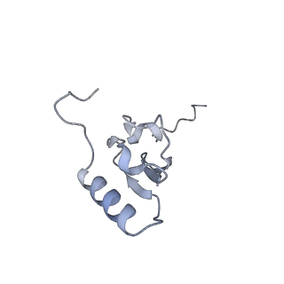 24135_7n30_SS_v1-2
Elongating 70S ribosome complex in a hybrid-H2* pre-translocation (PRE-H2*) conformation