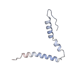 24135_7n30_SU_v1-2
Elongating 70S ribosome complex in a hybrid-H2* pre-translocation (PRE-H2*) conformation