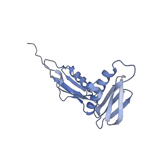 24136_7n31_LF_v1-2
Elongating 70S ribosome complex in a post-translocation (POST) conformation