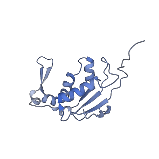 24136_7n31_LM_v1-2
Elongating 70S ribosome complex in a post-translocation (POST) conformation