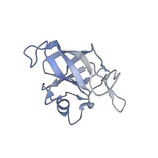 24136_7n31_LN_v1-2
Elongating 70S ribosome complex in a post-translocation (POST) conformation