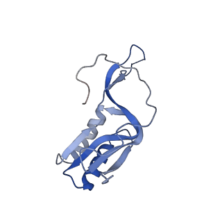 24136_7n31_LP_v1-2
Elongating 70S ribosome complex in a post-translocation (POST) conformation